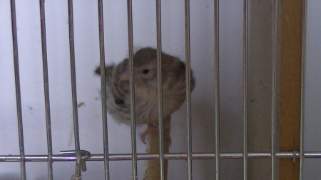 nog een beetje onwennig 